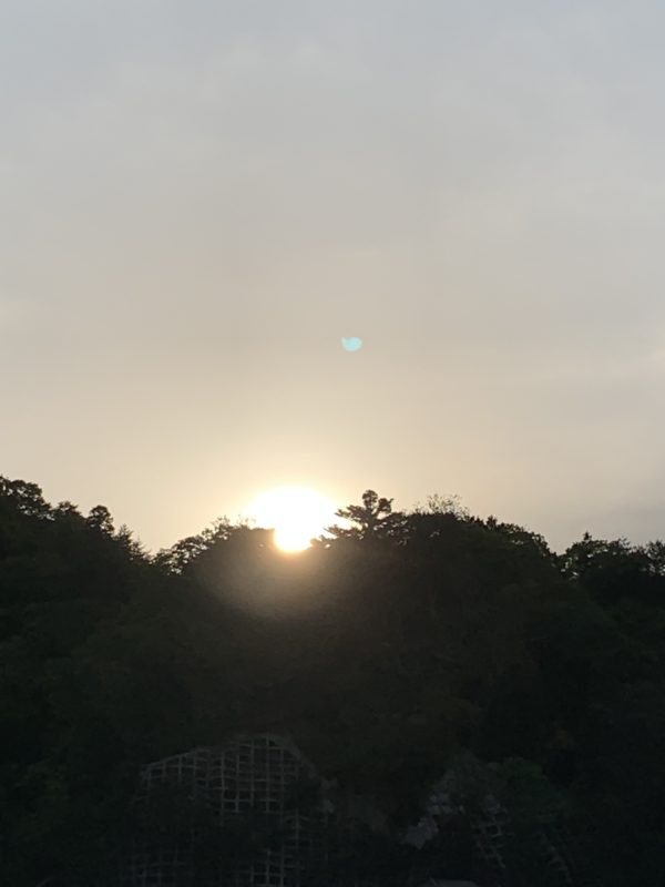 第二十二侯　小満初候  蚕起食桑　かいこおきてくわをくう