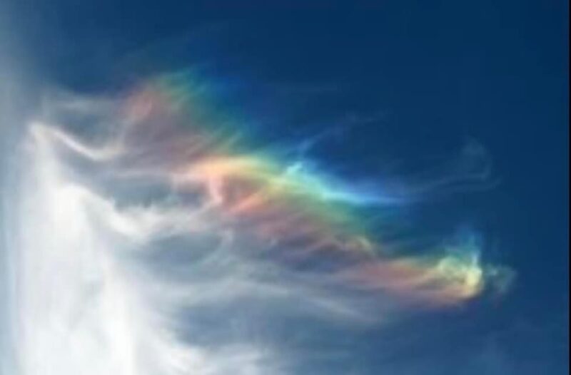 秋分を迎えます