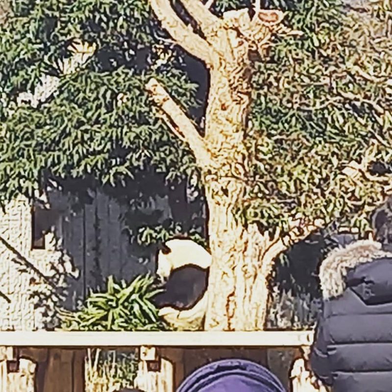 セラピストの休日