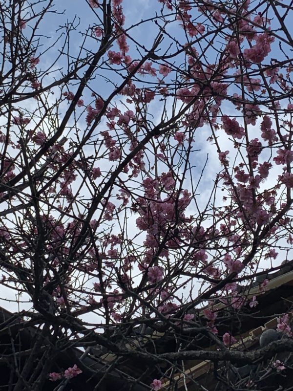 いまこの瞬間に生きましょう