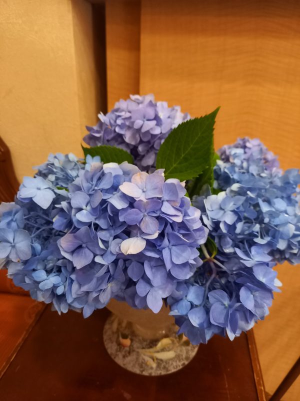 今週の予約状況