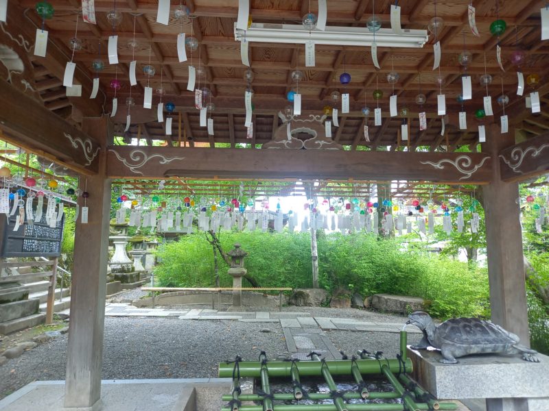 今週の予約状況