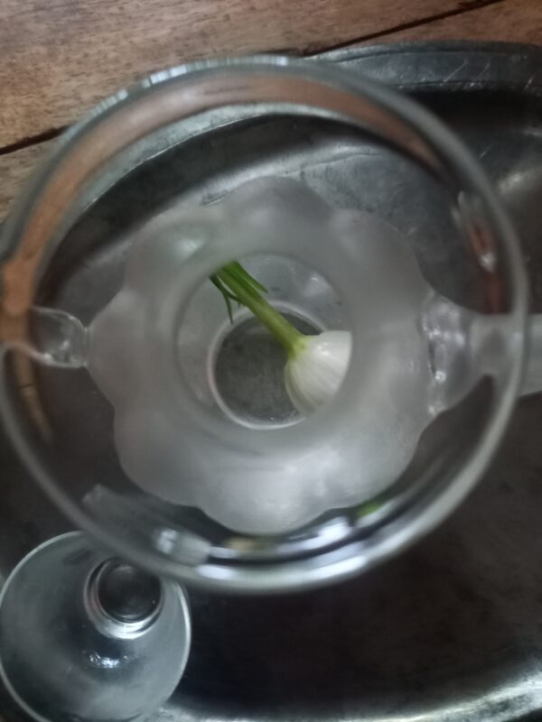 固定観念を外す