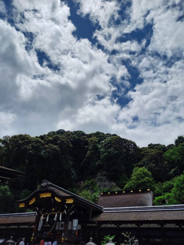 身体を制限しない服の展示会へ