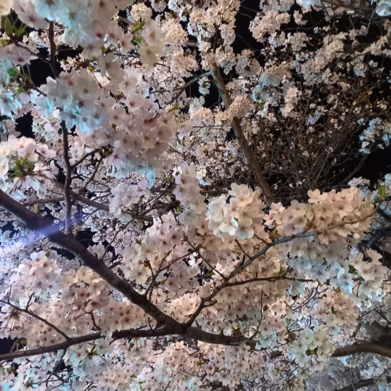 整っていく心地よさ