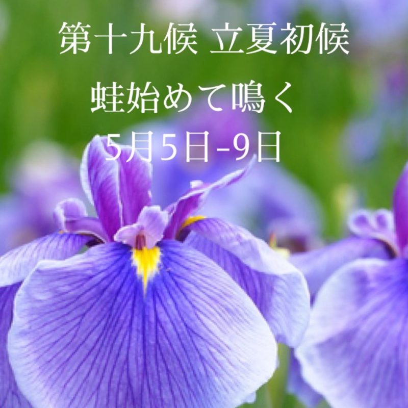 立夏　初候　蛙始めて鳴く