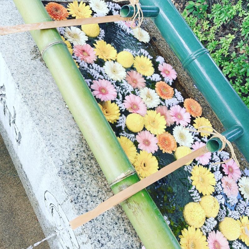 外にでましょう♫