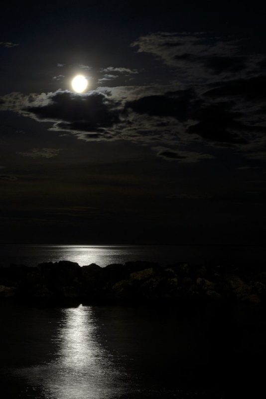 第二十三候　小満次候  紅花栄  べにばなさかう