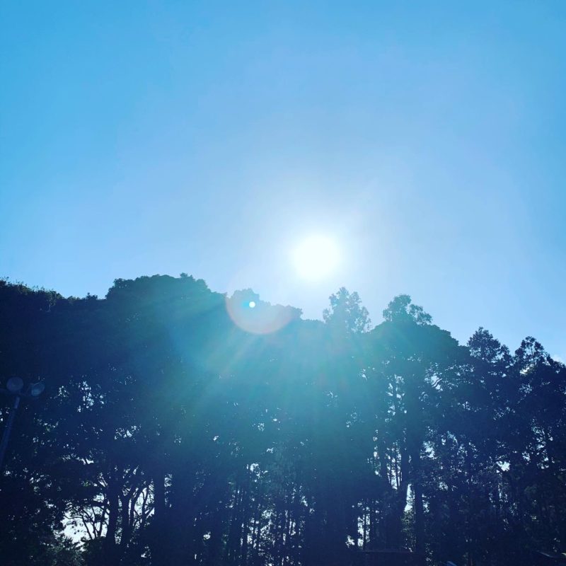 双子座新月（日食）エナジーチャージ