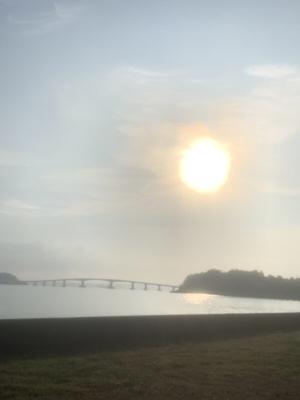 もうすぐ秋分ですね〜