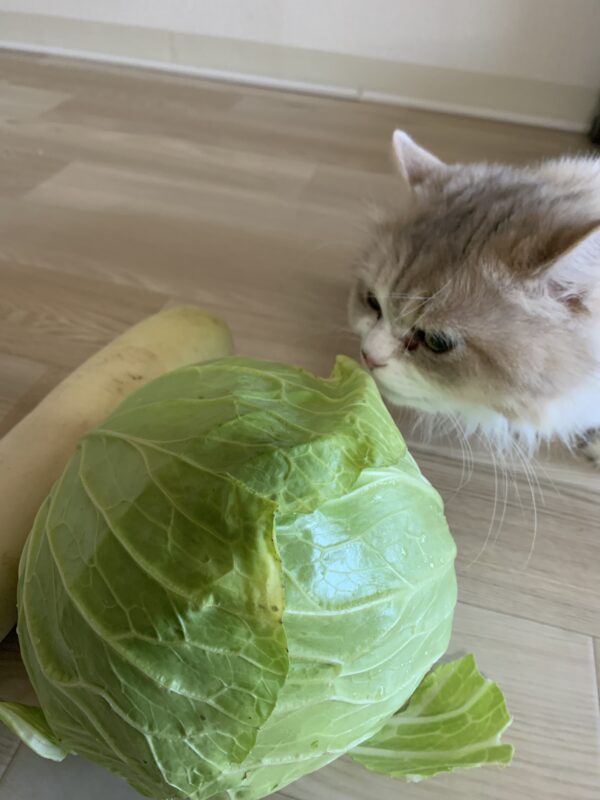 お日様と大地の香り