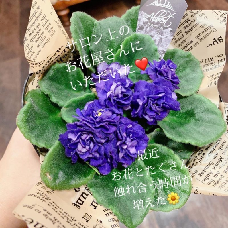 いつか全ての物事は感謝に繋がるのです❤️