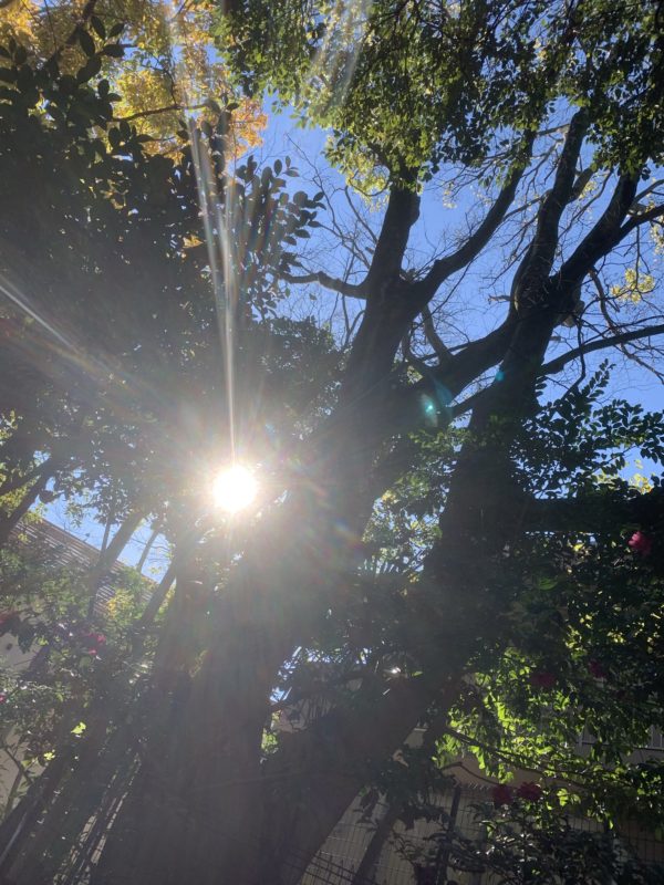 幸せになるための12月の過ごし方