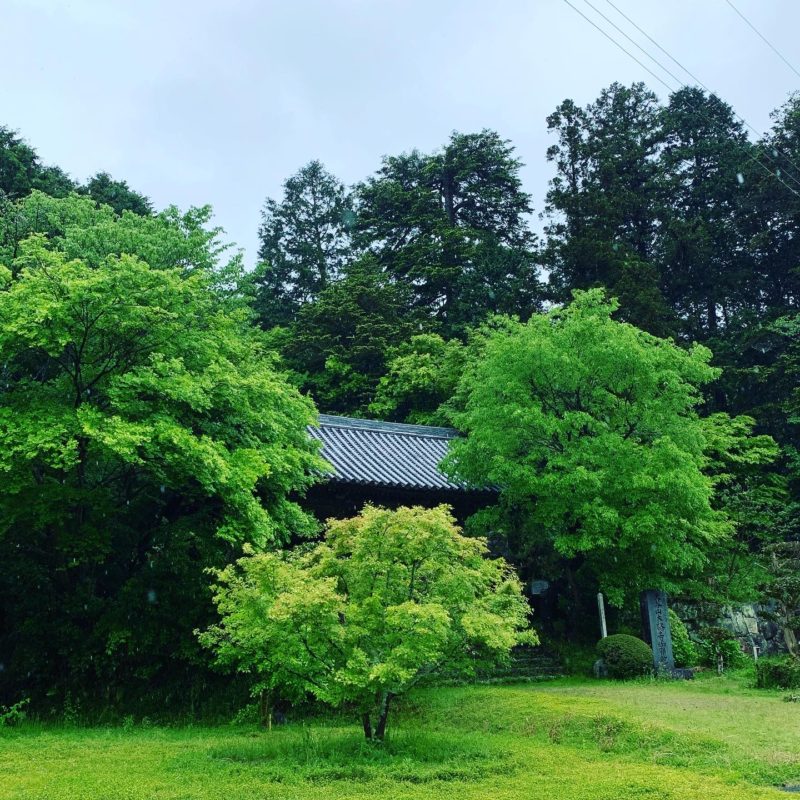 5月吉日ラッシュヽ(´▽｀)/