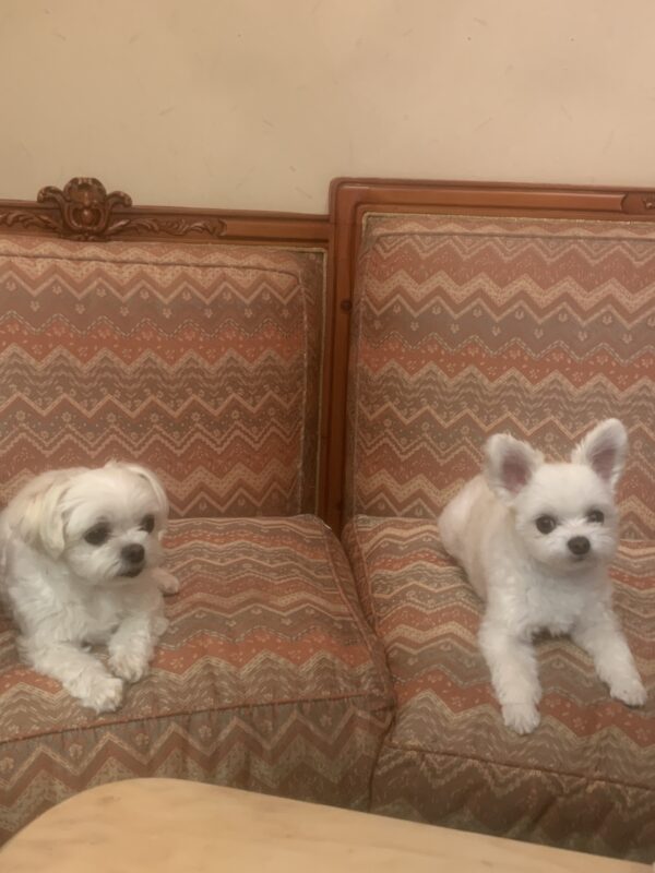 Podcast収録してました〜