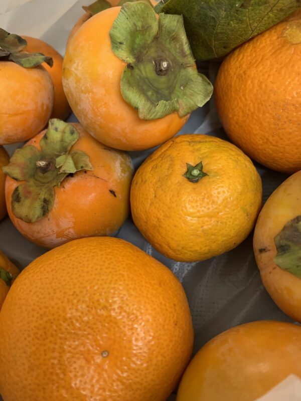 ながーいお付き合い