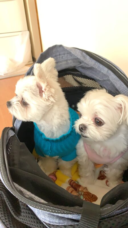 Podcast更新してまーす♡