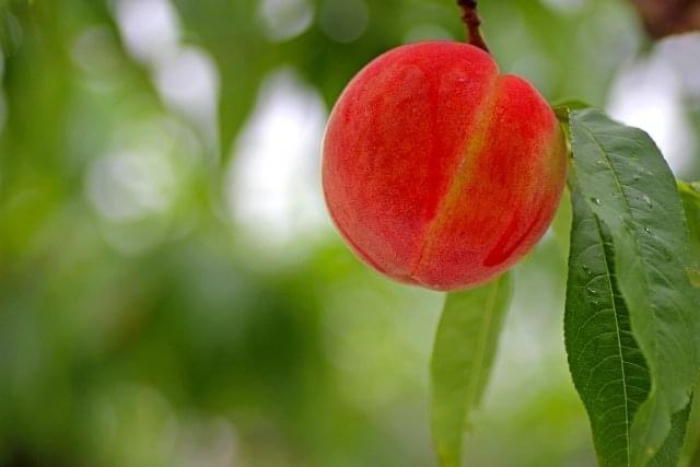 イライラした時に食べてみてね