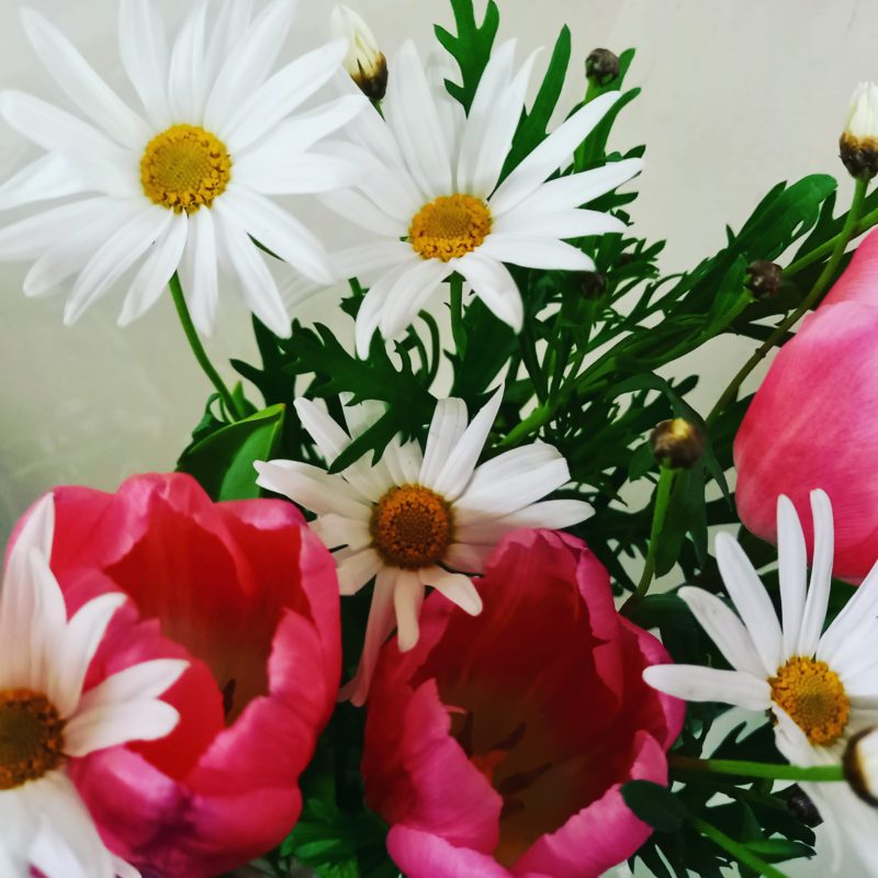 お花をいただきました♡