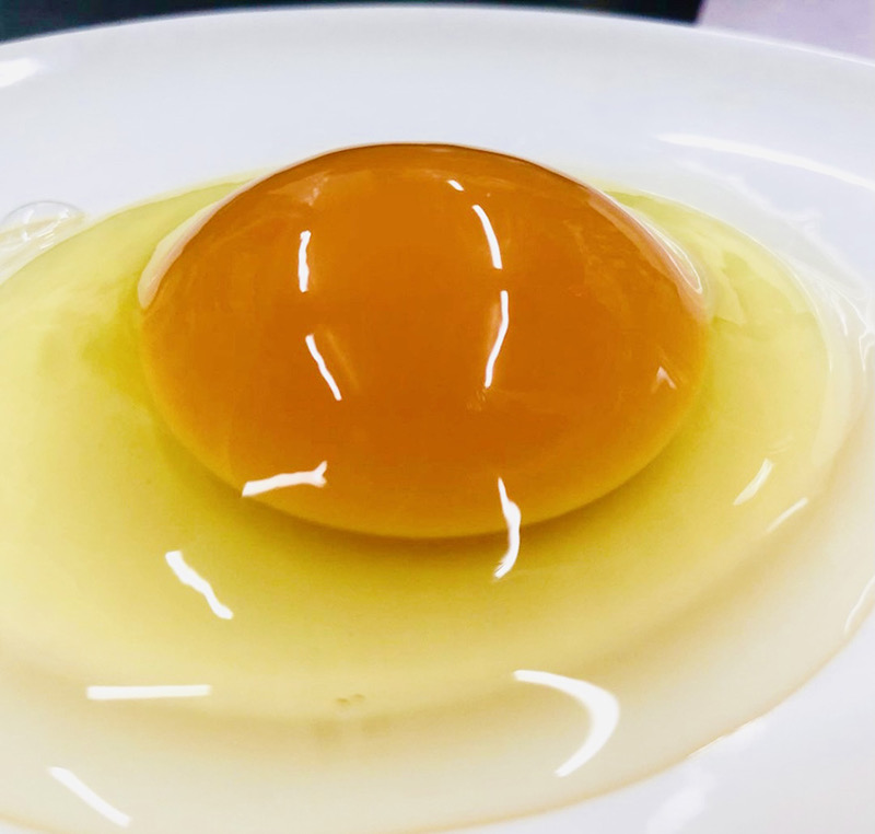 大寒卵って知ってますか？